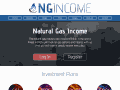 ngincome.com