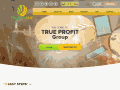 true-profit.website
