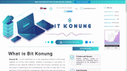 bitkonung.com