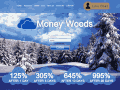 money-woods.com