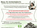 realfx-investments.com