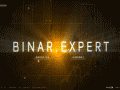 binar.expert