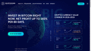 bigbitcoinbank.com