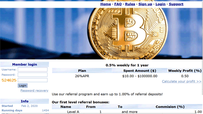 BitcoBid 2% por semana durante 1 ano 6934