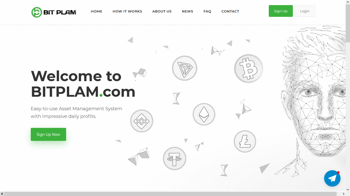 bitplam.com