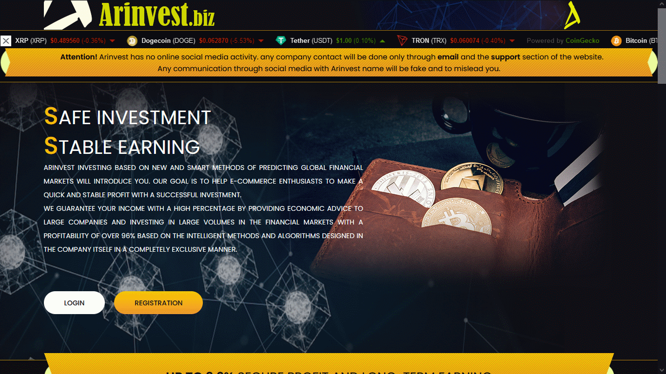 arinvest.biz