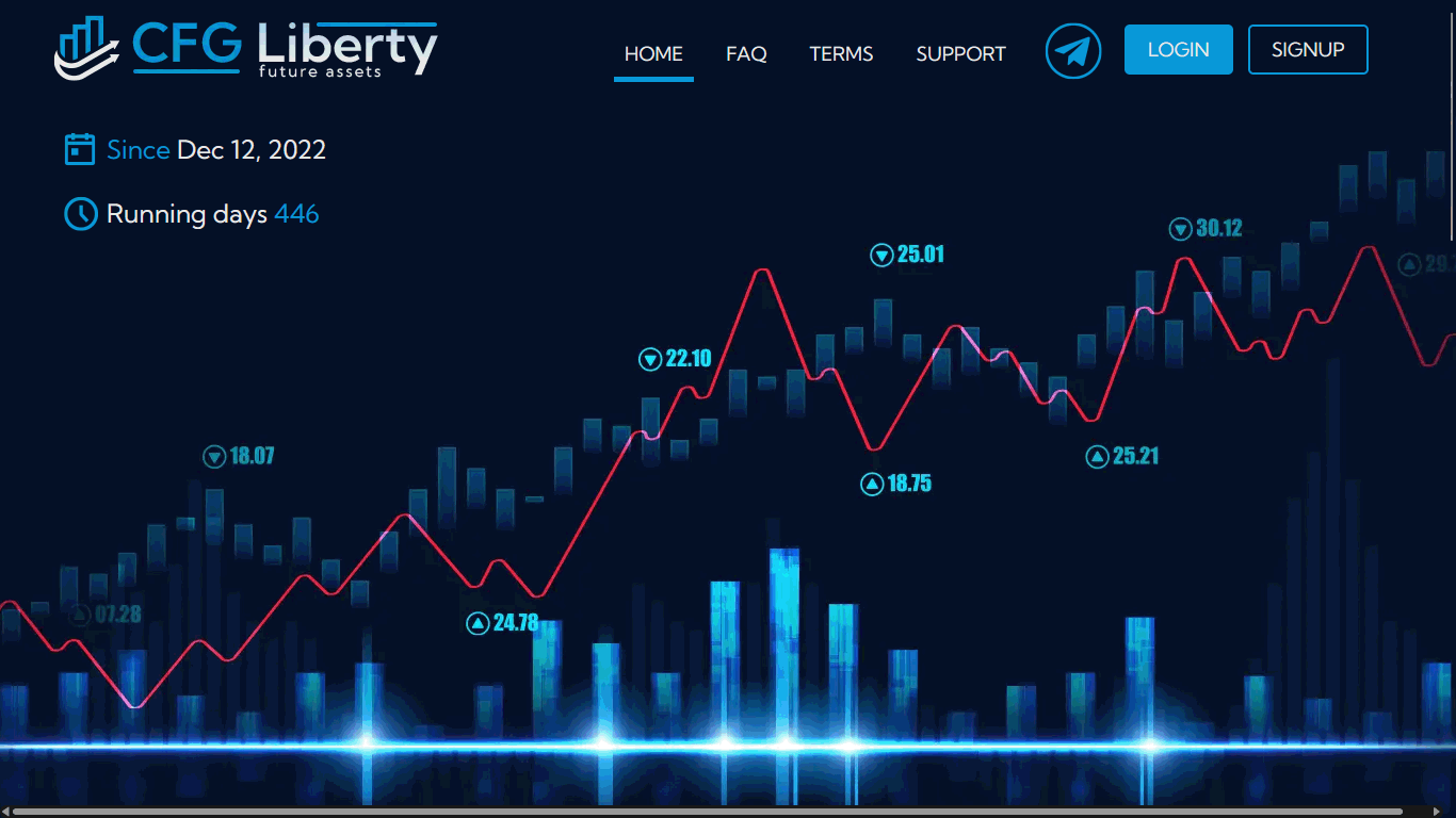 Cfg Liberty - cfgliberty.com 8258_1